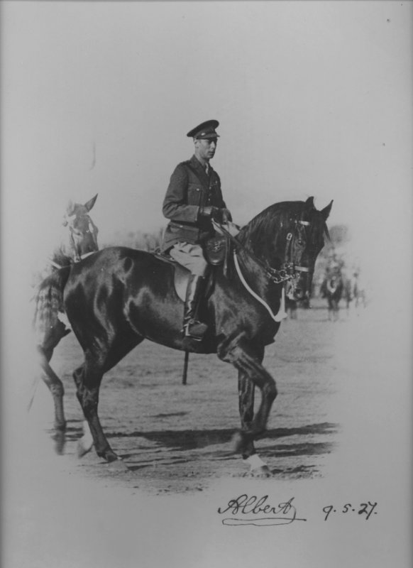 A Horse’s Tale Bill, Bertie and Bairnsdale 303 · Museum of Australian